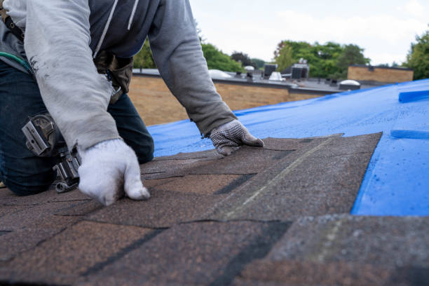 Residential Roof Replacement in Rosewood Heights, IL