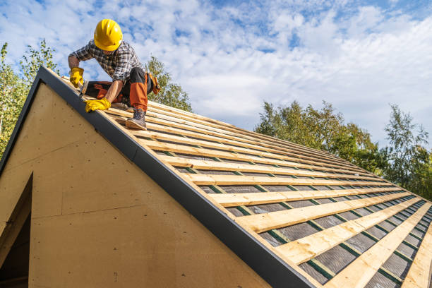 Roof Gutter Cleaning in Rosewood Heights, IL